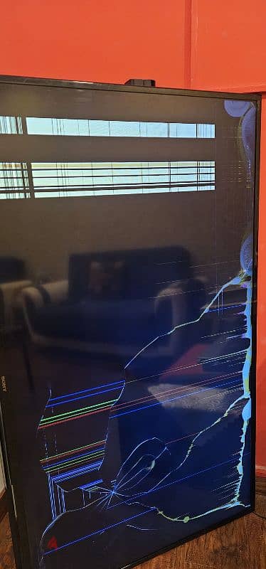 Sony Bravia 65 inch - Display problem 1