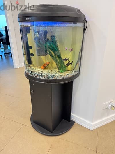 Fish Tank without Fish