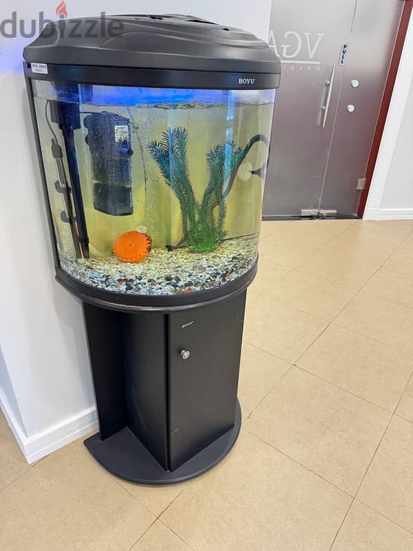 Fish Tank without Fish 1