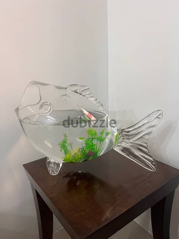 Fish tank with fish 1