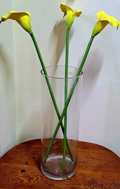 2 Glass flower vases with flower and money plant 5bhd