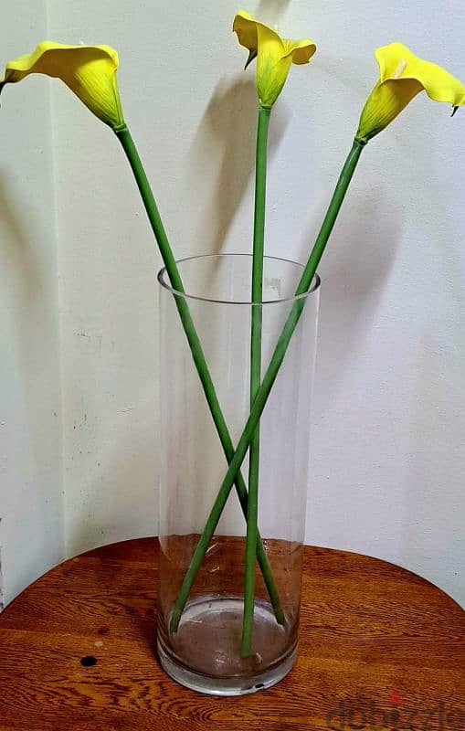 2 Glass flower vases with flower and money plant 5bhd 0