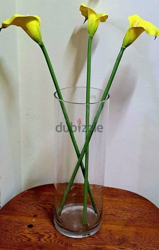 2 Glass flower vases with flower and money plant 5bhd 2