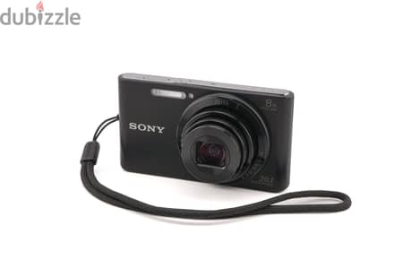 Sony cyber-shot DSC-W830 camera with bag