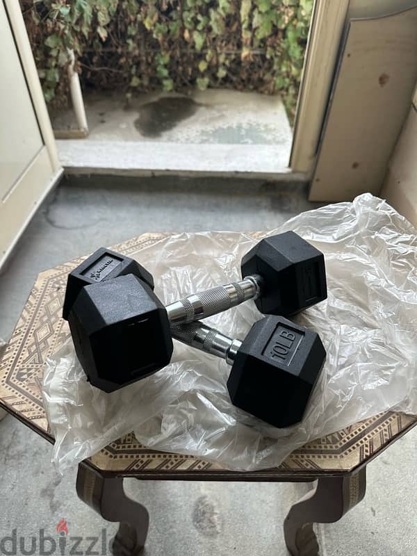 Hex Rubber Dumbbells 0