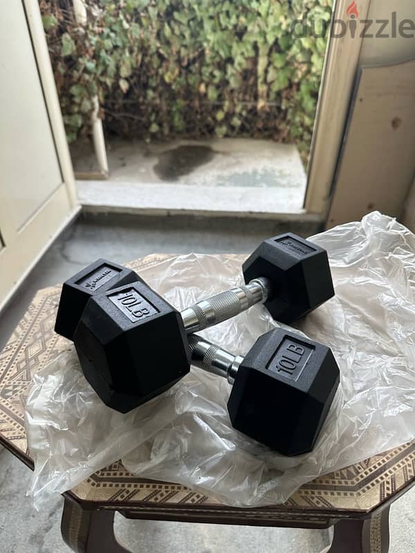 Hex Rubber Dumbbells 1