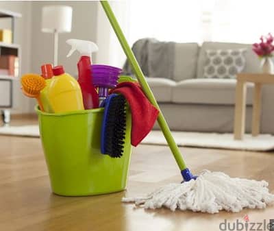 Cleaning Services