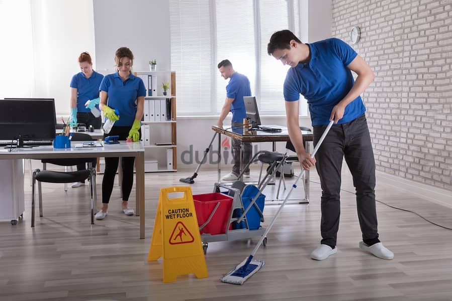 Cleaning Services 3