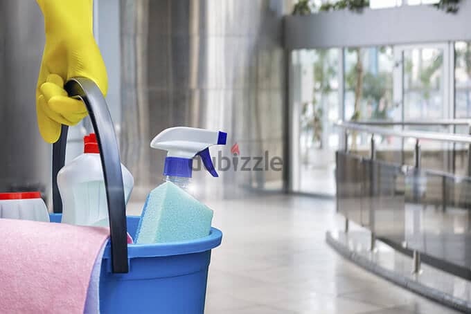 Cleaning Services 1