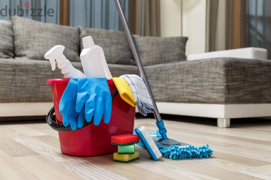 Cleaning Services 4