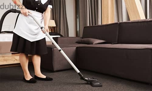 Cleaning Services 5