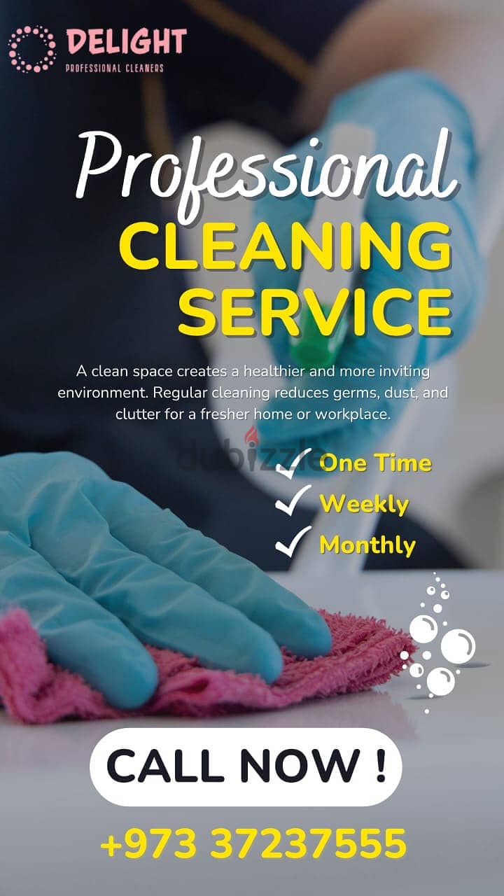 Cleaning Services 2