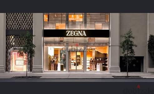 Zegna shoes for good deal