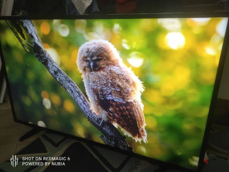 LG smart 4k 50inch 9