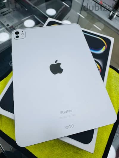 iPad Pro (11. inch) M4 (256) GB