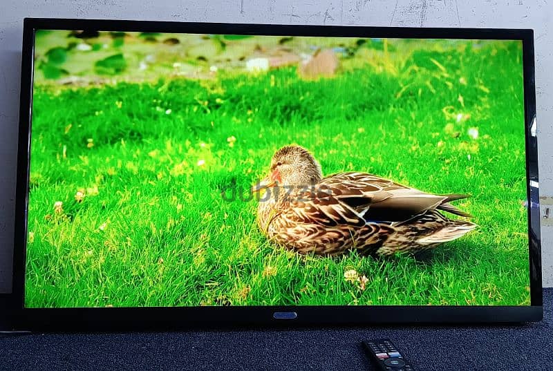 class pro 40 inch for sale 2