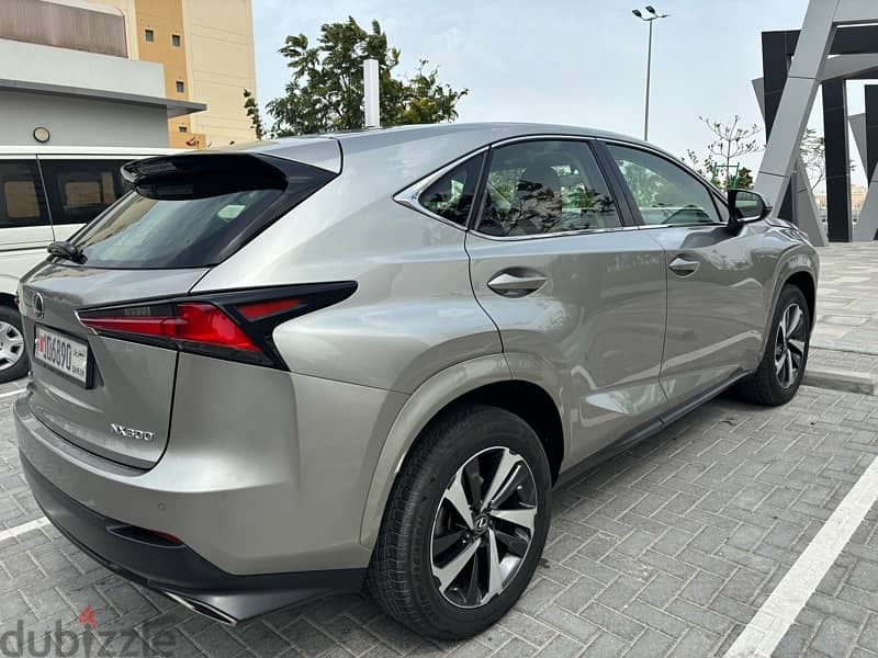 Lexus NX 300 2019 1