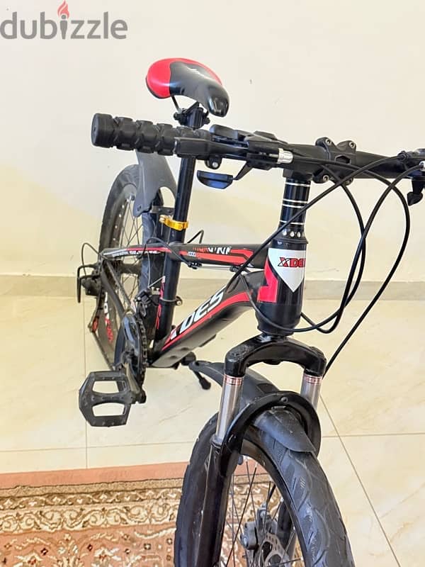 X-DES Mountain Bike – Stylish & Sturdy 1