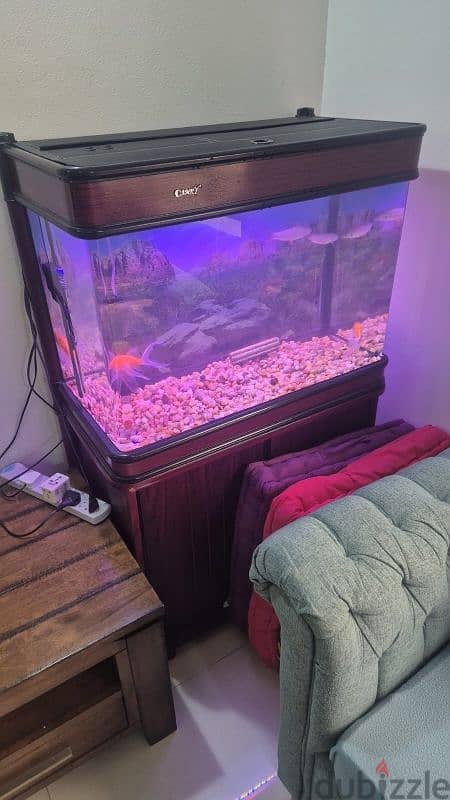 For Sale: Large Aquarium in Excellent Condition! 4