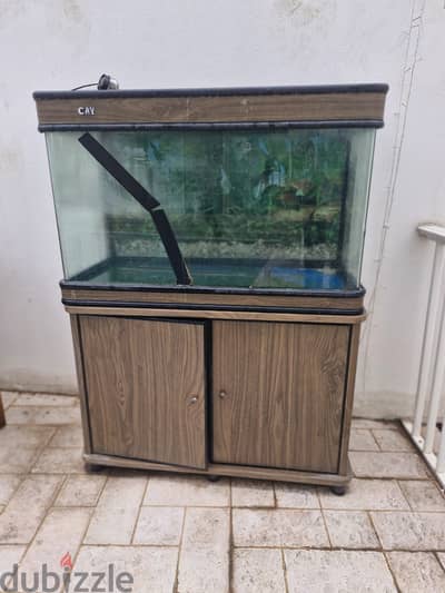 Aquarium stand - Suitables for fishes & turtles