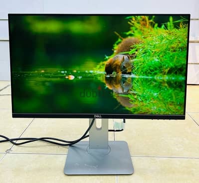 Dell Monitor 24 BD