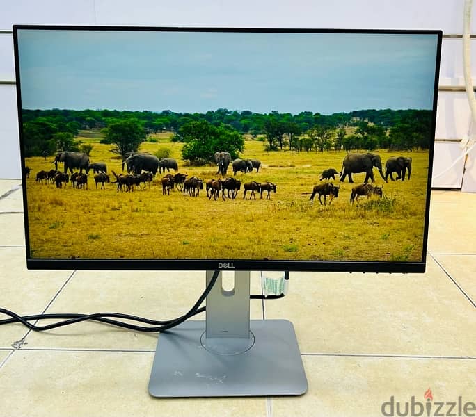 Dell Monitor 24 BD 2