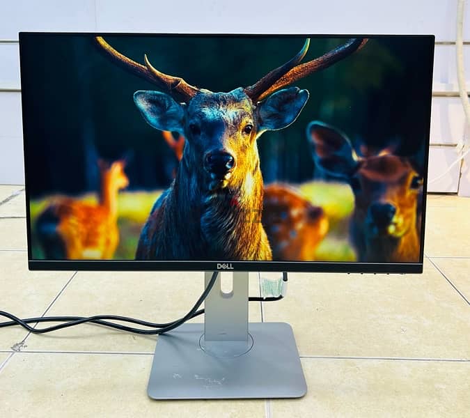 Dell Monitor 24 BD 4