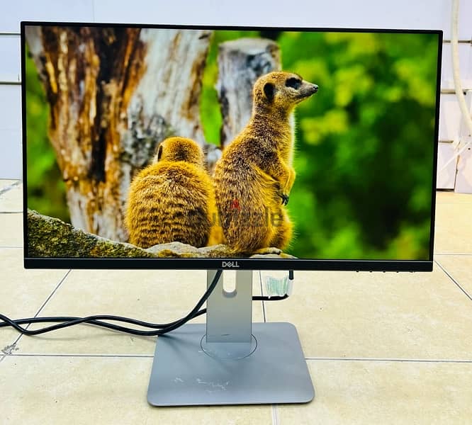 Dell Monitor 24 BD 5