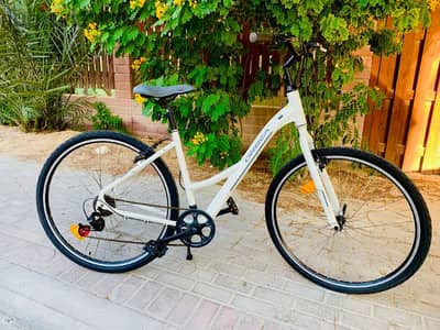 29" Branded Hybrid Bike (Orbea)