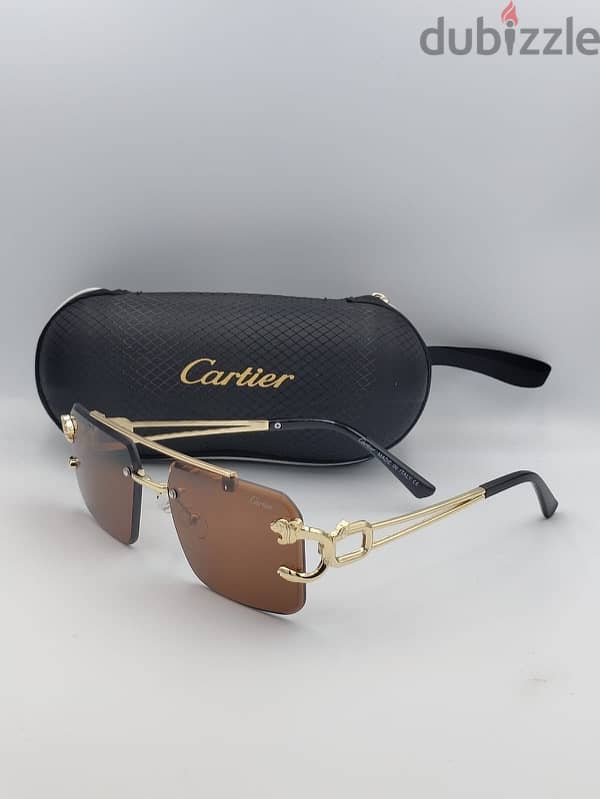 Cartier Sunglasses 9