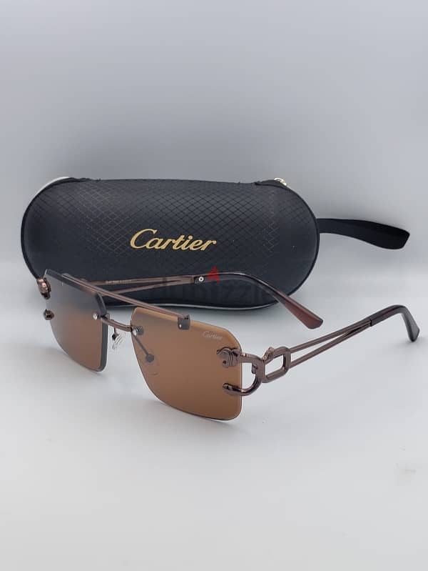 Cartier Sunglasses 10