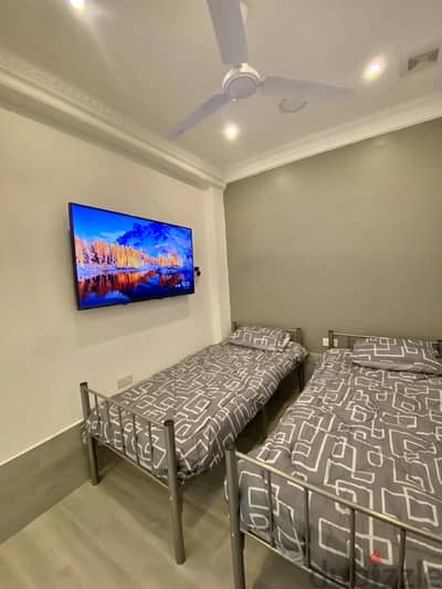 luxurious fully furnished apartment