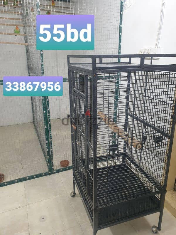 breeding box and cage 4