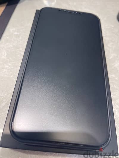 IPHONE 12 PRO MAX - 256 GB