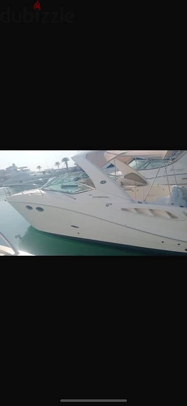 Baby yacht Sundancer ٣١ قدم 4