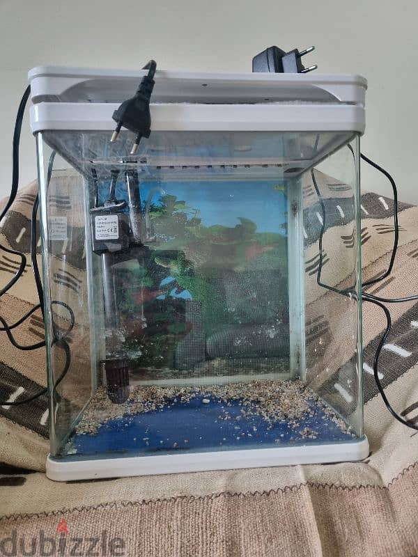 Fish tank with pump and light 3