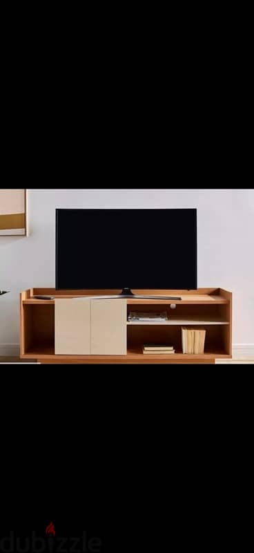 two New TV Units (In Cartoons)