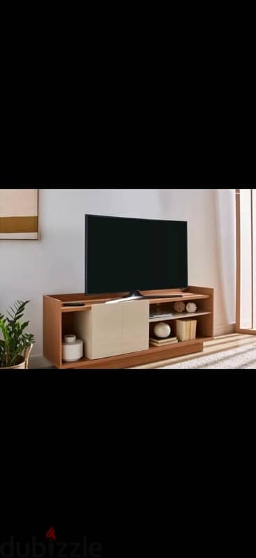 two New TV Units (In Cartoons) 1