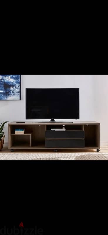 two New TV Units (In Cartoons) 2