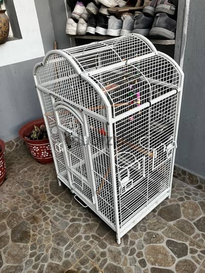 birds cage for sale