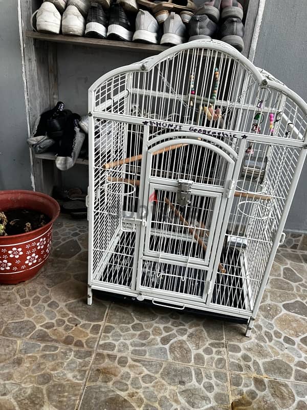 birds cage for sale 1