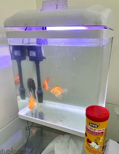 Fish Aquarium with glass table, food, net for sale