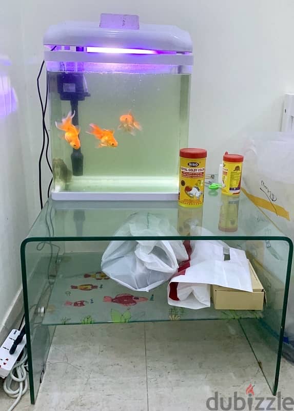 Fish Aquarium with glass table, food, net for sale 1