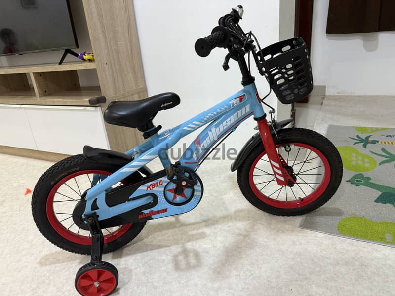 Cycle and electric chargeable car 2