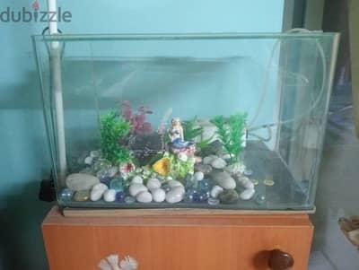 fish tank