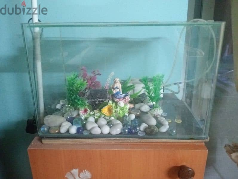 fish tank 0