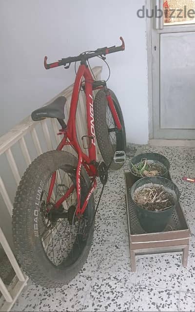 cycle for sale