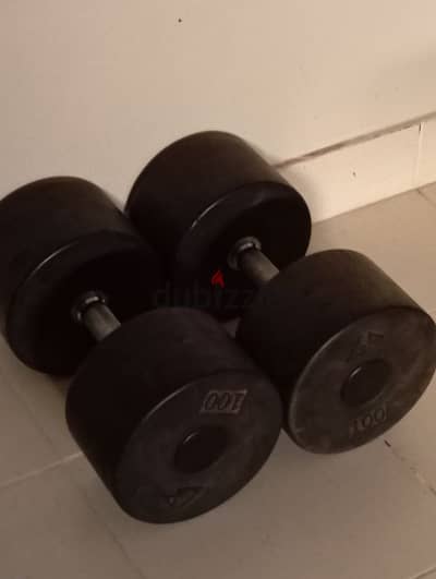 100 lbs dumbbells(45kg each)