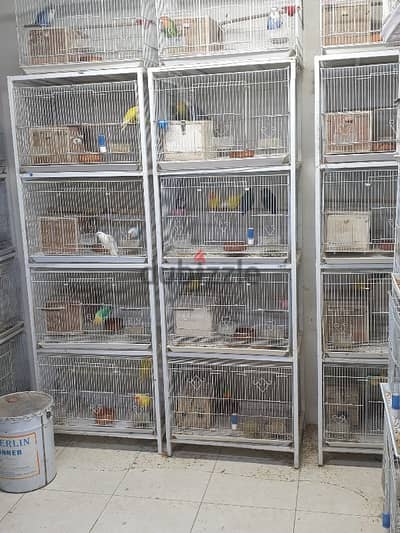 stand for sale for 5 cages