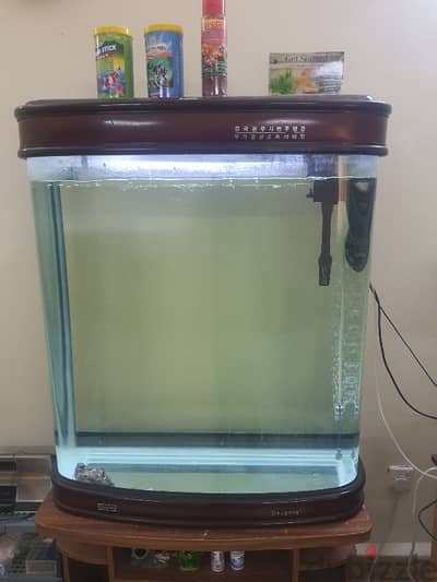 Jumbo tank with 2 fish